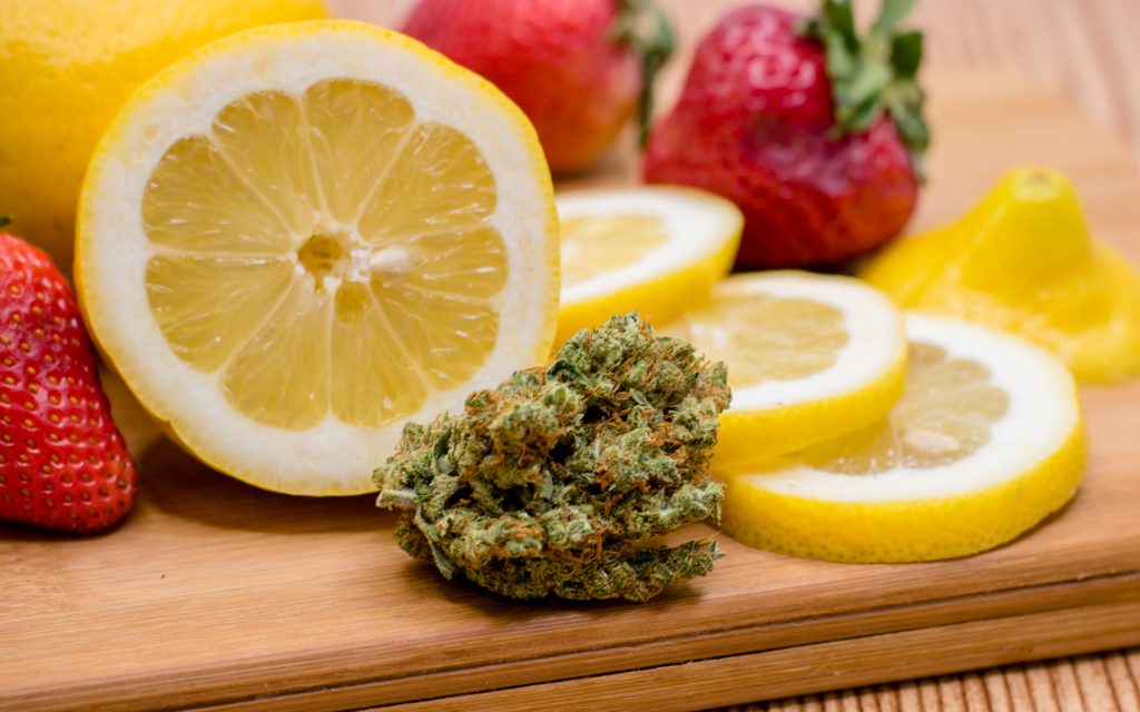 The Future of Cannabis May Lie in Terpene Isolation