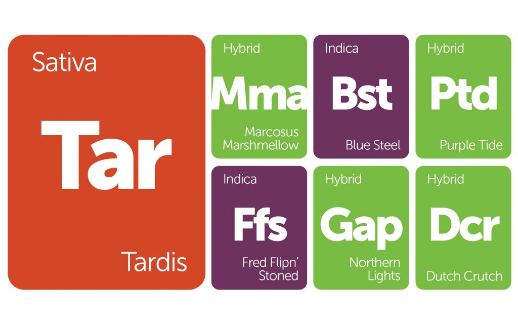 New Strains Alert: Tardis, Glass Apple, Dutch Crunch, and More