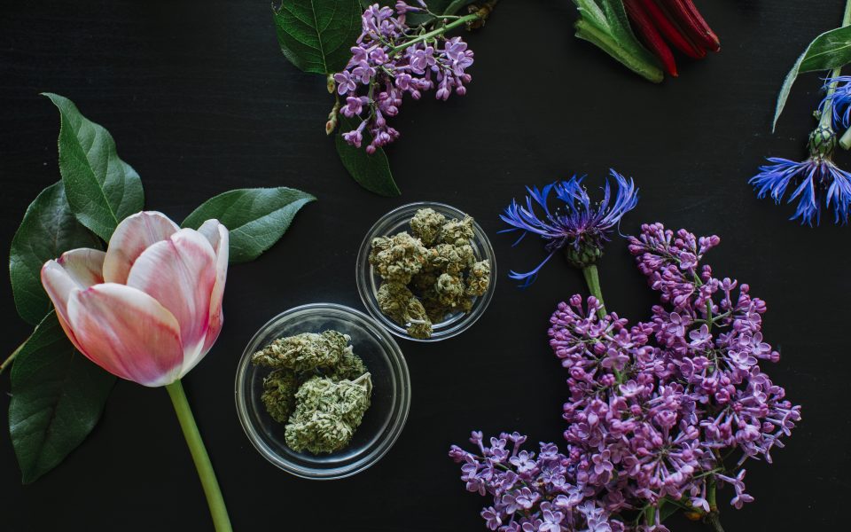 Cannabis Flower Crowns: The Perfect DIY Smokeable Accessory