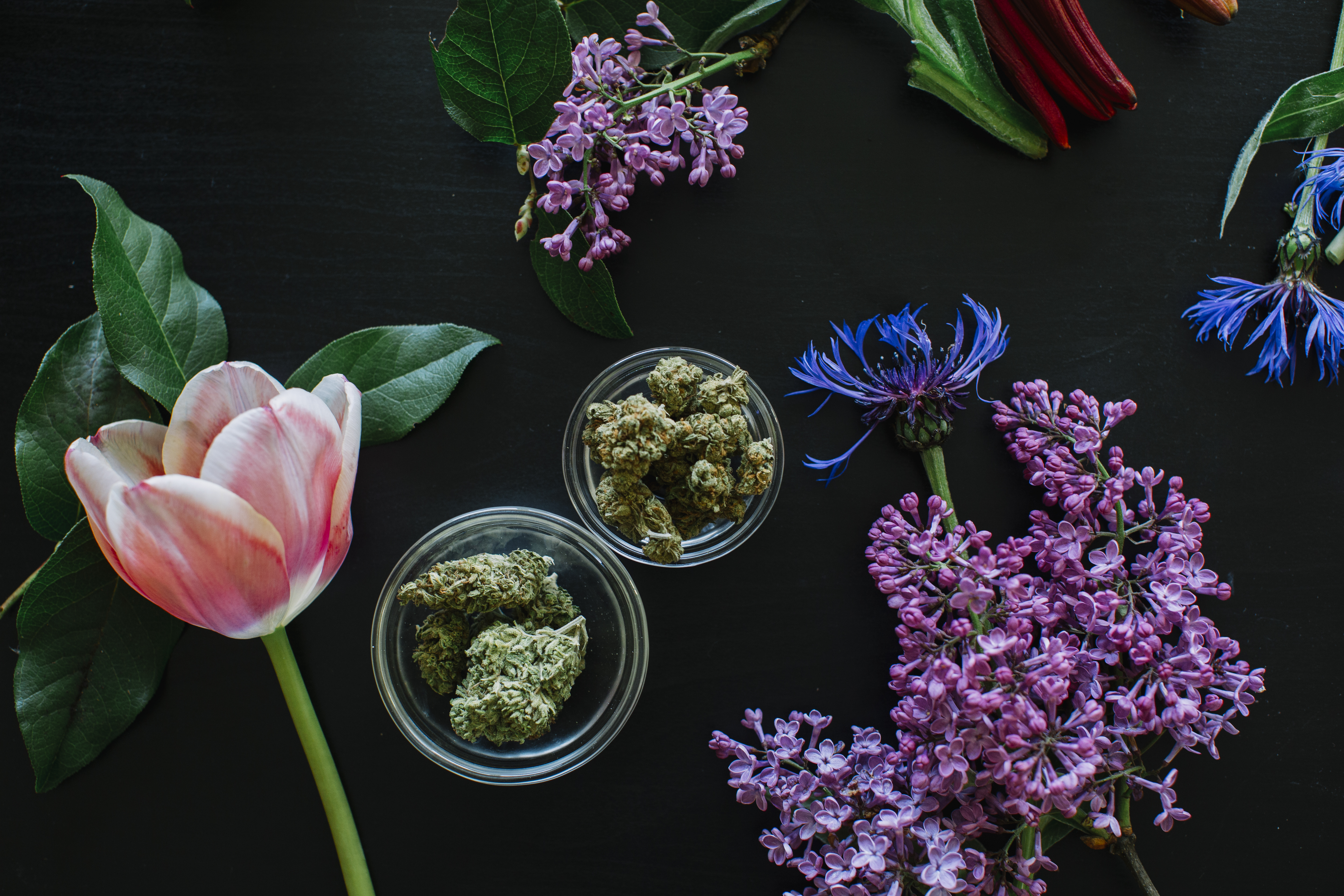Cannabis Flower Crowns: The Perfect DIY Smokeable Accessory