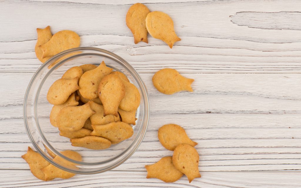 Respect the Goldfish Crackers: My Edibles Cautionary Tale