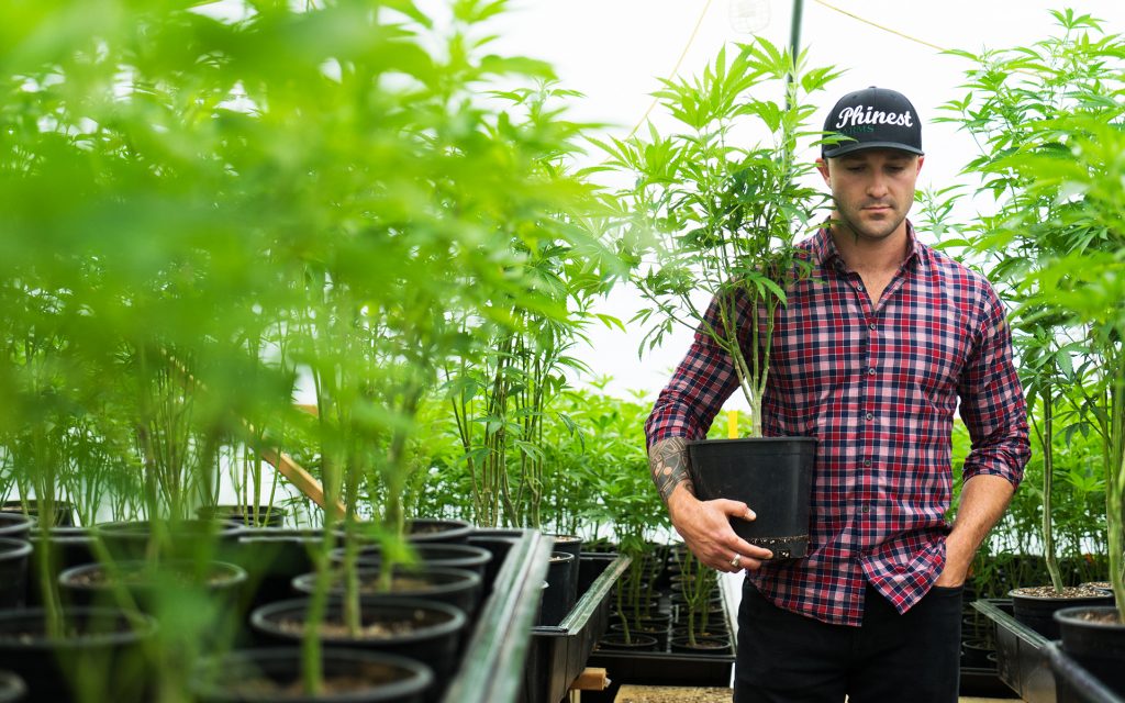 Jai Malloy poses for a photograph in his greenhouse in Santa Cruz County, Calif. on Thursday, June 8, 2017.