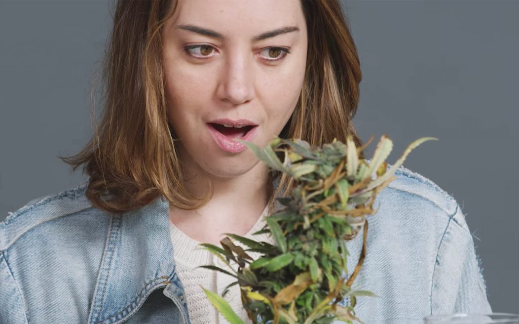 Watch This: Aubrey Plaza Smokes With the