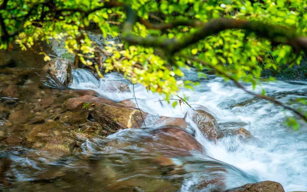 A river