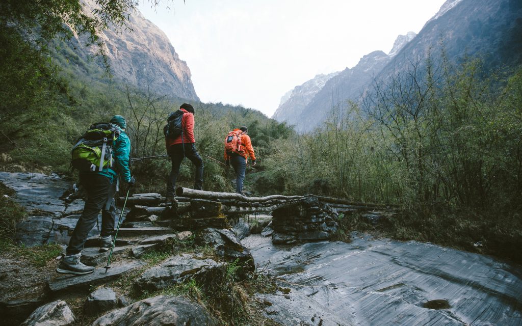 Elevation Gain: How I Survived Backpacking With My Friends Using Marijuana Edibles | Leafly