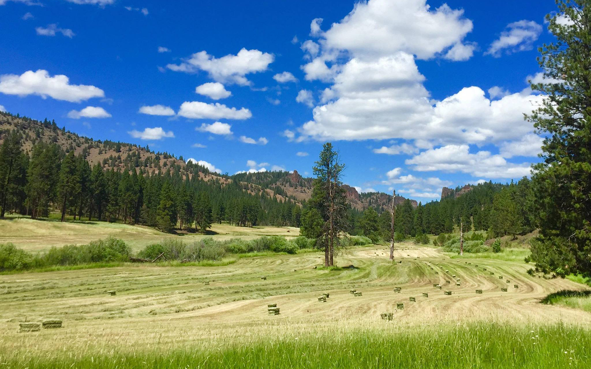 The Ultimate Marijuana Summer Road Trip Through Oregon | Leafly