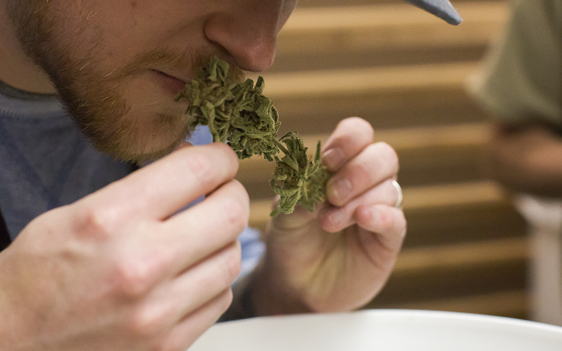 5 Cannabis Strains With Unusual (and Arguably Terrible) Aromas