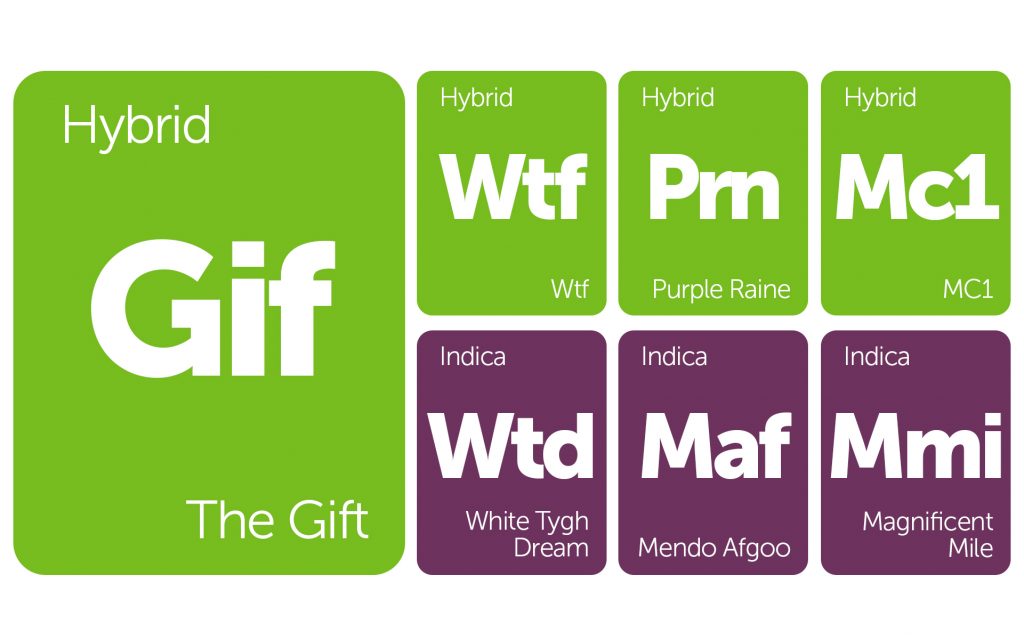 New Strains Alert: Mendo Afgoo, Magnificent Mile, White Tygh Dream, and More
