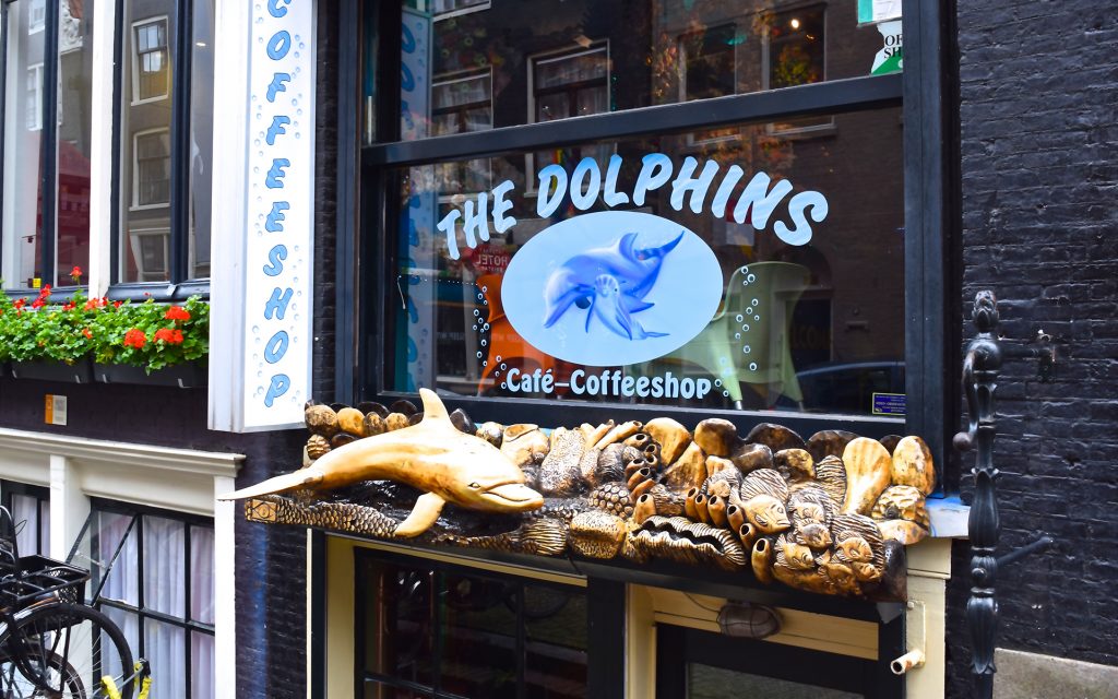 Amsterdam Cannabis Coffeeshop: The Dolphins