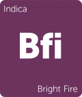 Leafly Bright Fire indica cannabis strain