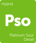 Leafly Platinum Sour Diesel hybrid cannabis strain