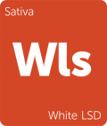 Leafly White LSD sativa cannabis strain