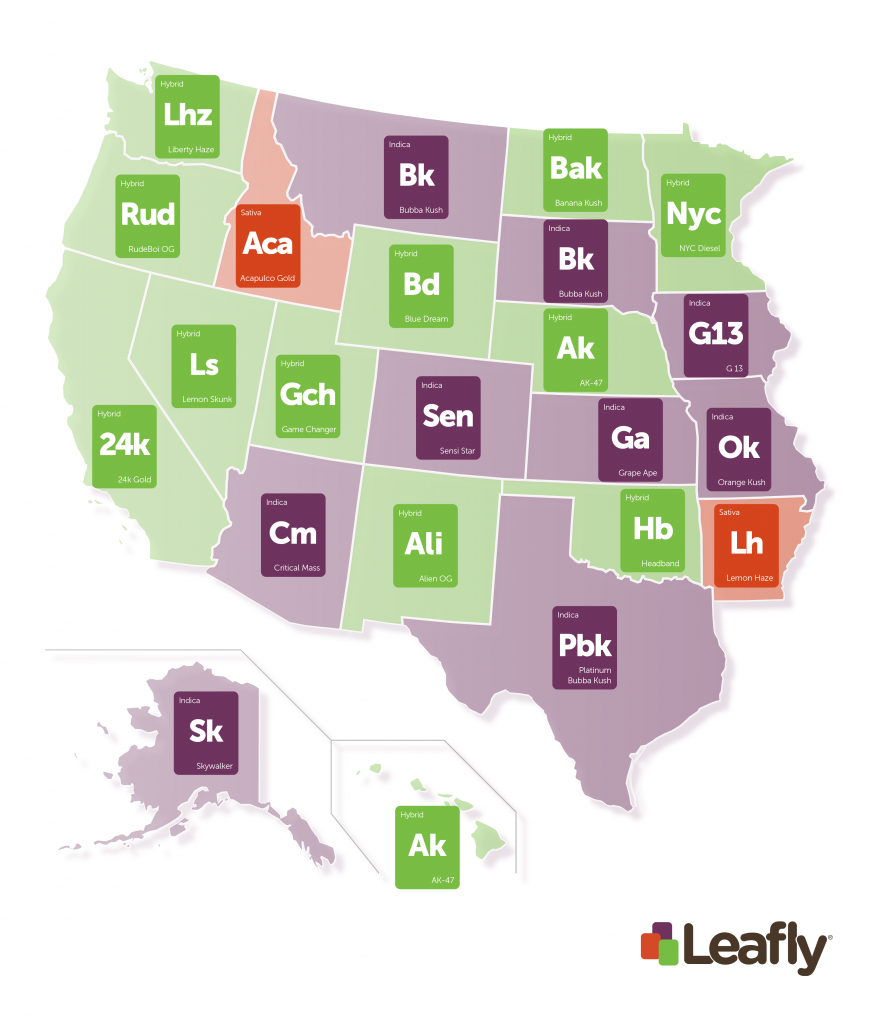 The Fastest-Trending Marijuana Strains in the Western United States | Leafly