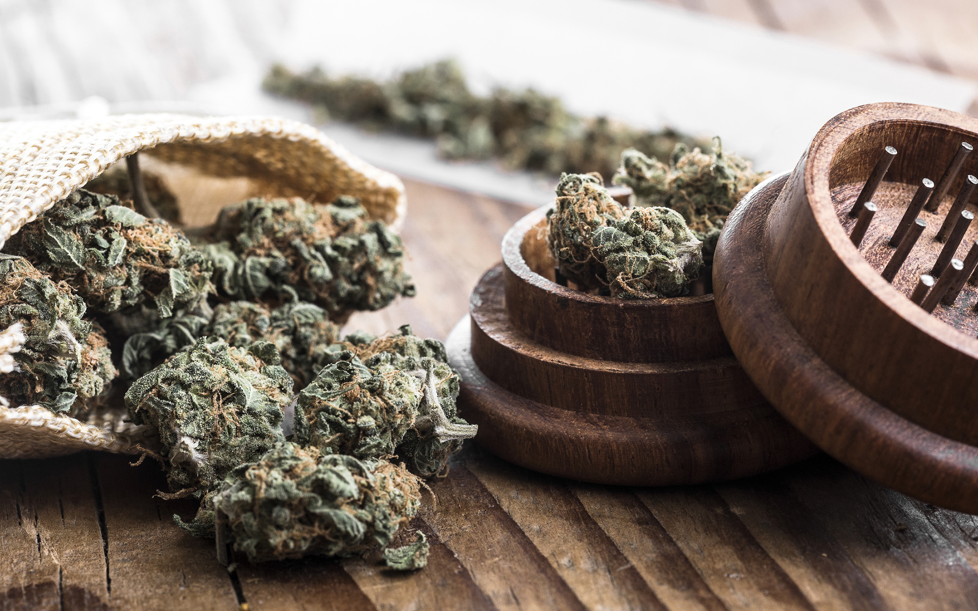 Dispensaries With the Largest Marijuana Selections | Leafly
