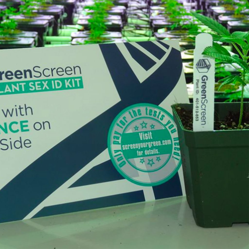 5 Tools Every Cannabis Grower Should Have