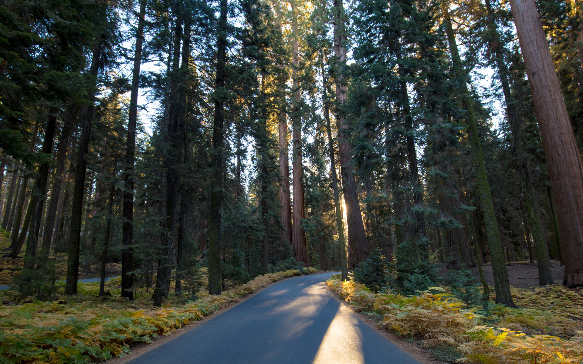 There S A Lot More To Humboldt County Than Murder Mountain Leafly