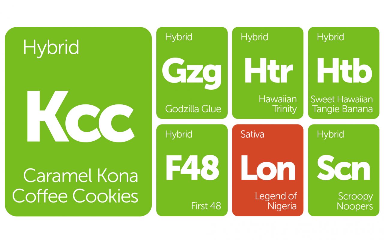 New Strains Alert: Scroopy Noopers, Godzilla Blood, Legend of Nigeria, and More