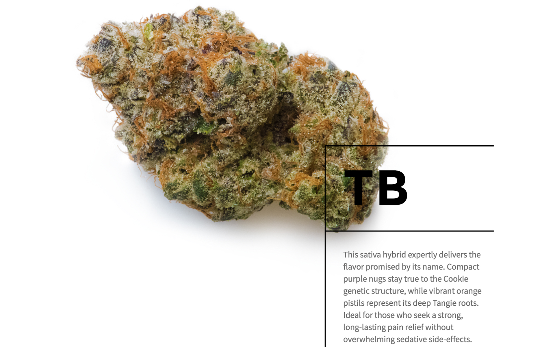 Best in State: 2017's Top Marijuana in Oregon | Leafly