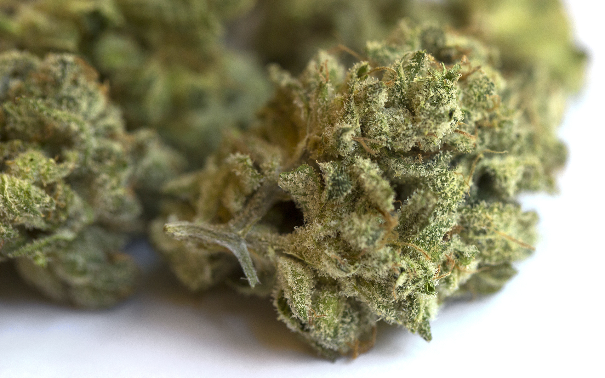5 Best-Smelling Cannabis Strains in Washington