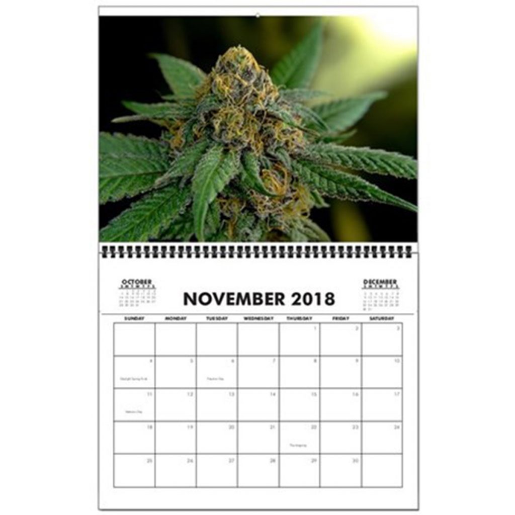 Cannabis Product Deals Oil Rigs, HighRes Calendars, and Cookbooks