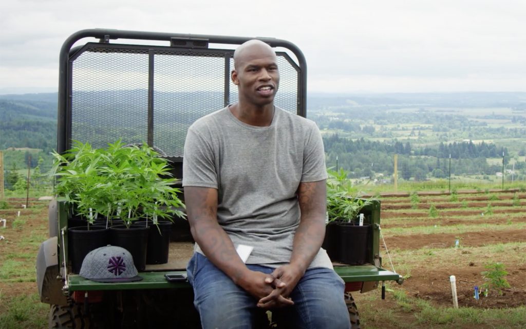 9 Things We Learned From Al Harrington