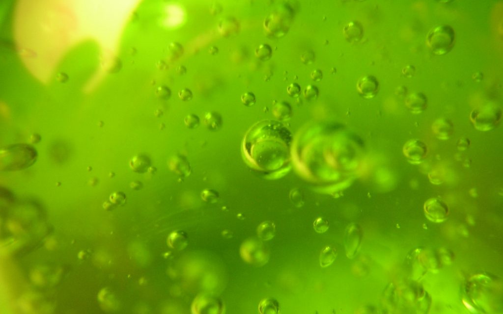 Making Homemade Slime: Is It Worth the High?