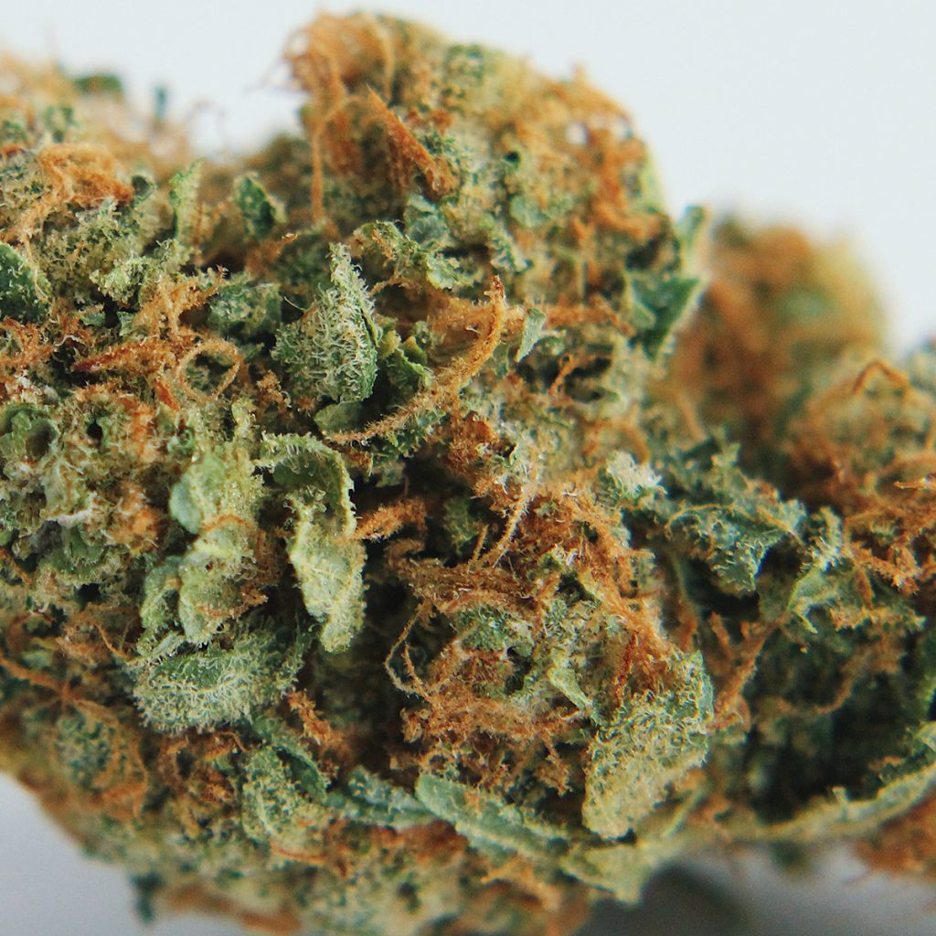 4/20 Weed Deals in Oregon: Cannabis Nation - Greshem