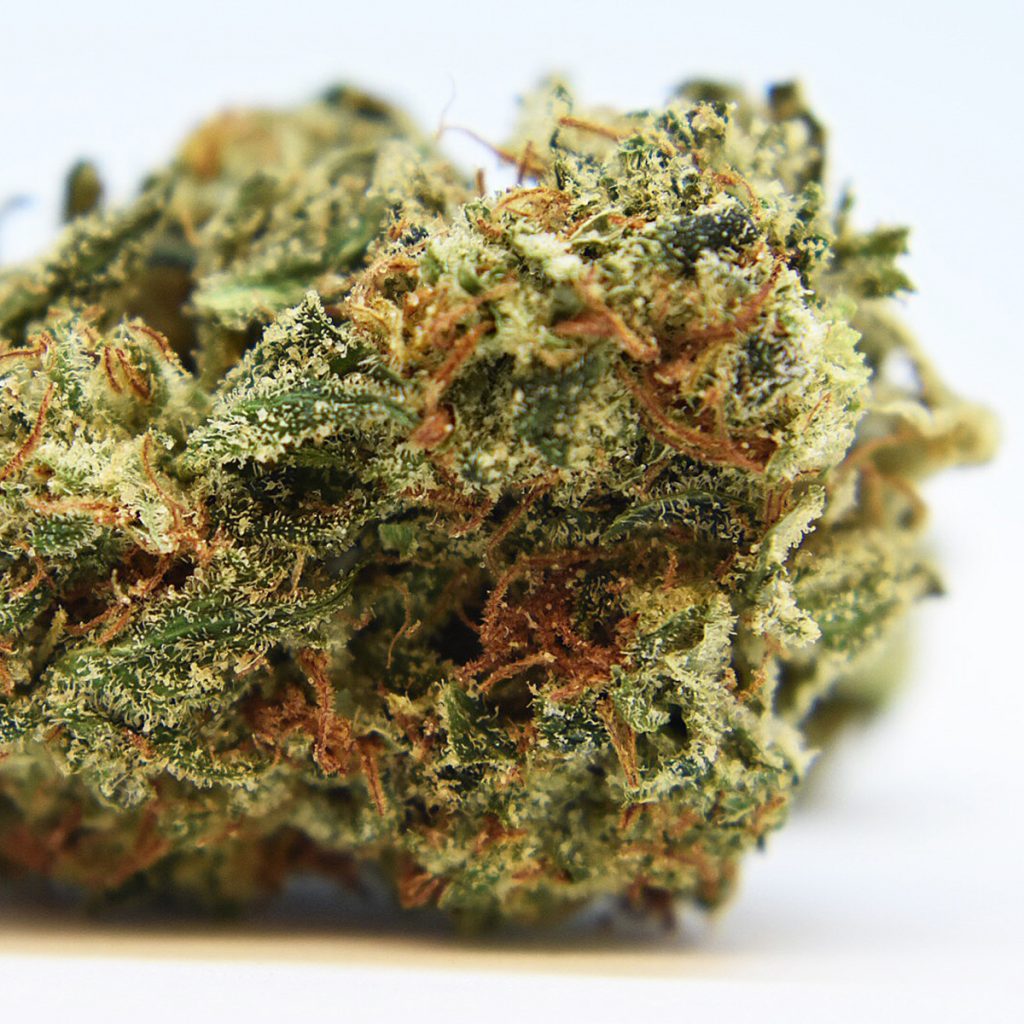 4/20 Weed Deals in Alaska: Bad Gramm3r - Wasilla