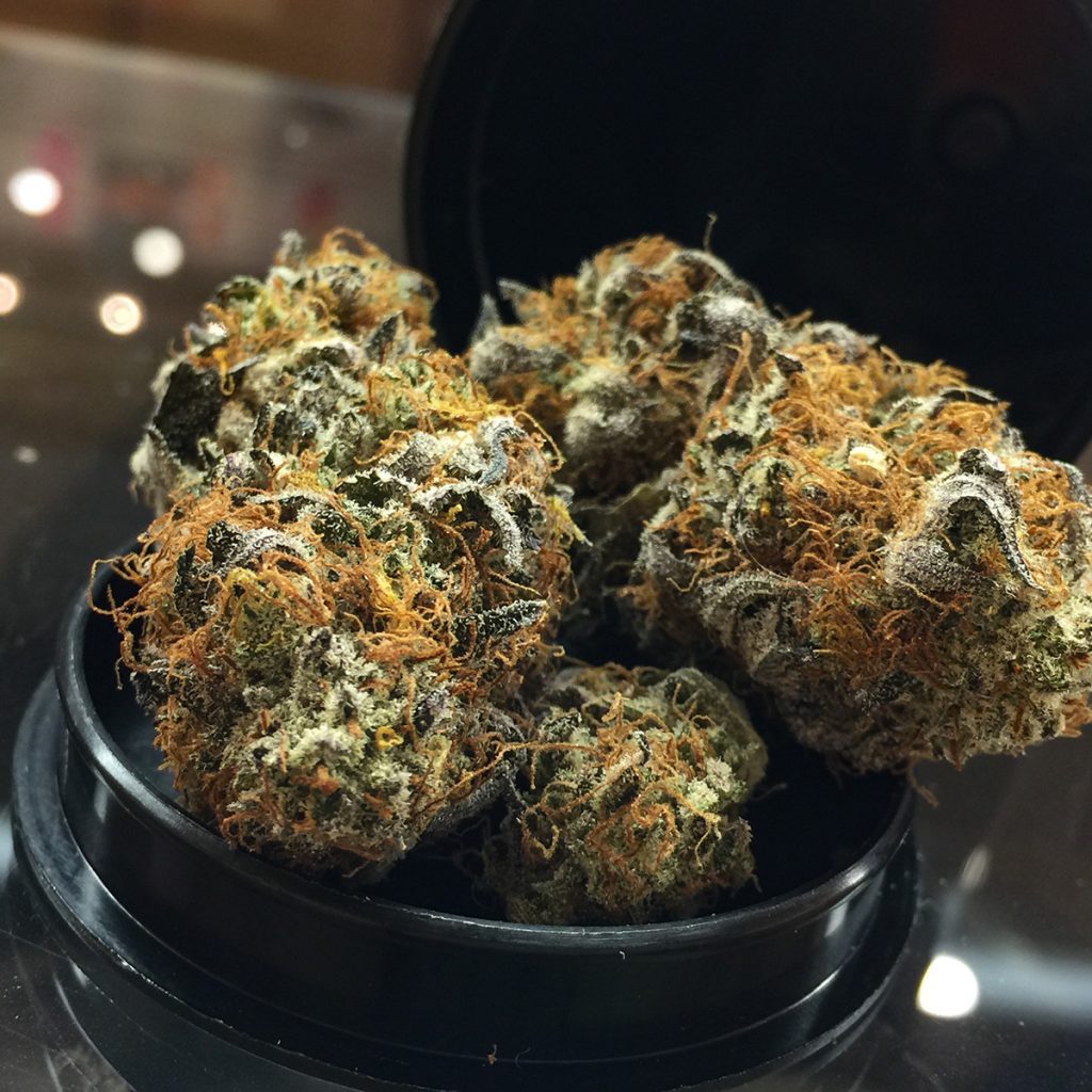 4/20 Weed Deals in Alaska: Alaska Fireweed - Anchorage