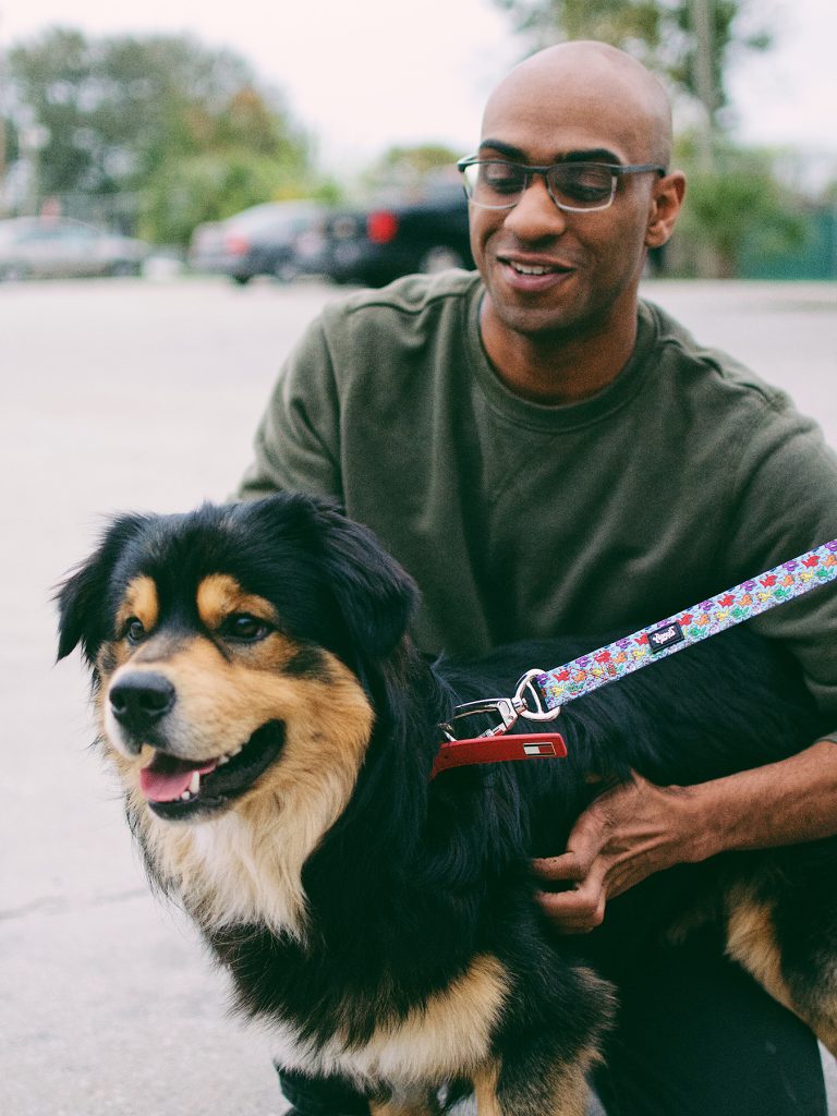 Dog on Heady Pet Leash