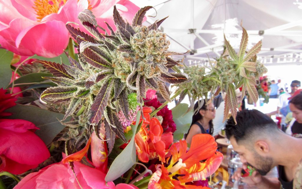 NorCal Cannabis Cup 2018 CRAFT booth. | Photo by David Downs