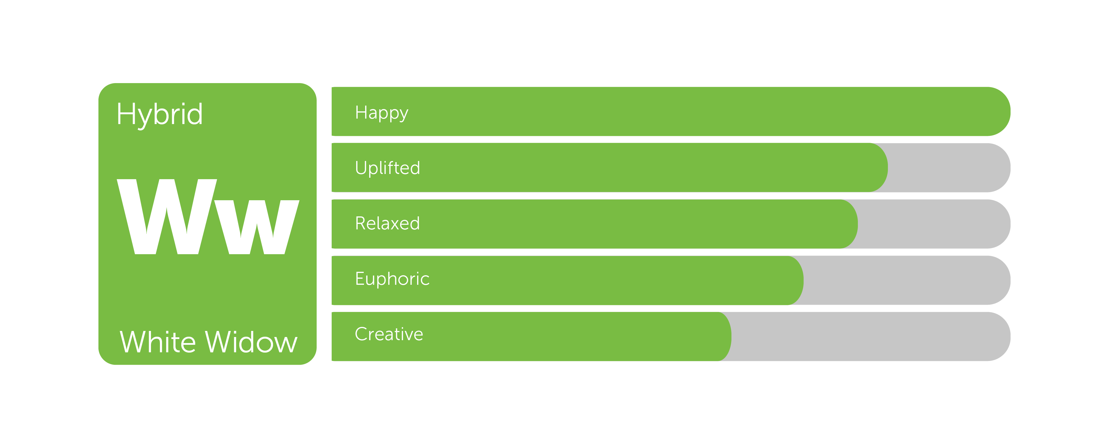 white widow cannabis strain information leafly