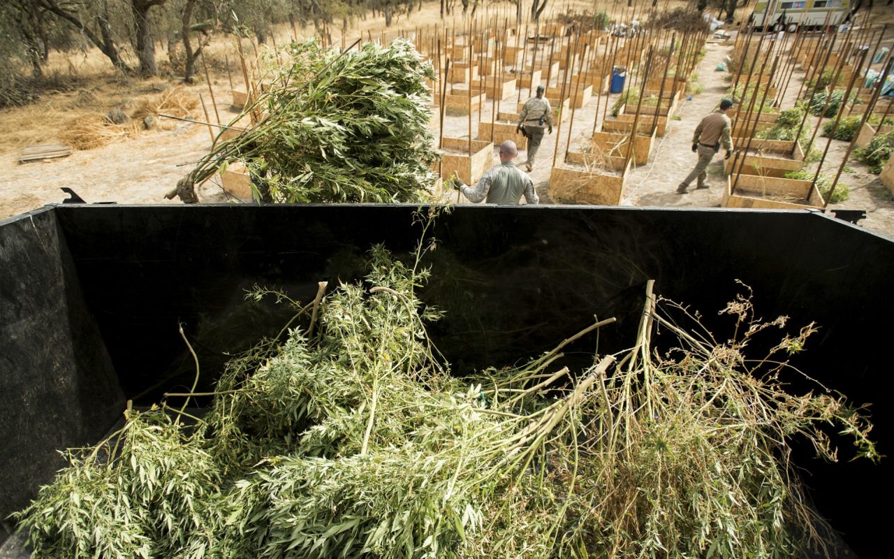 Calaveras_marijuana_ban_header