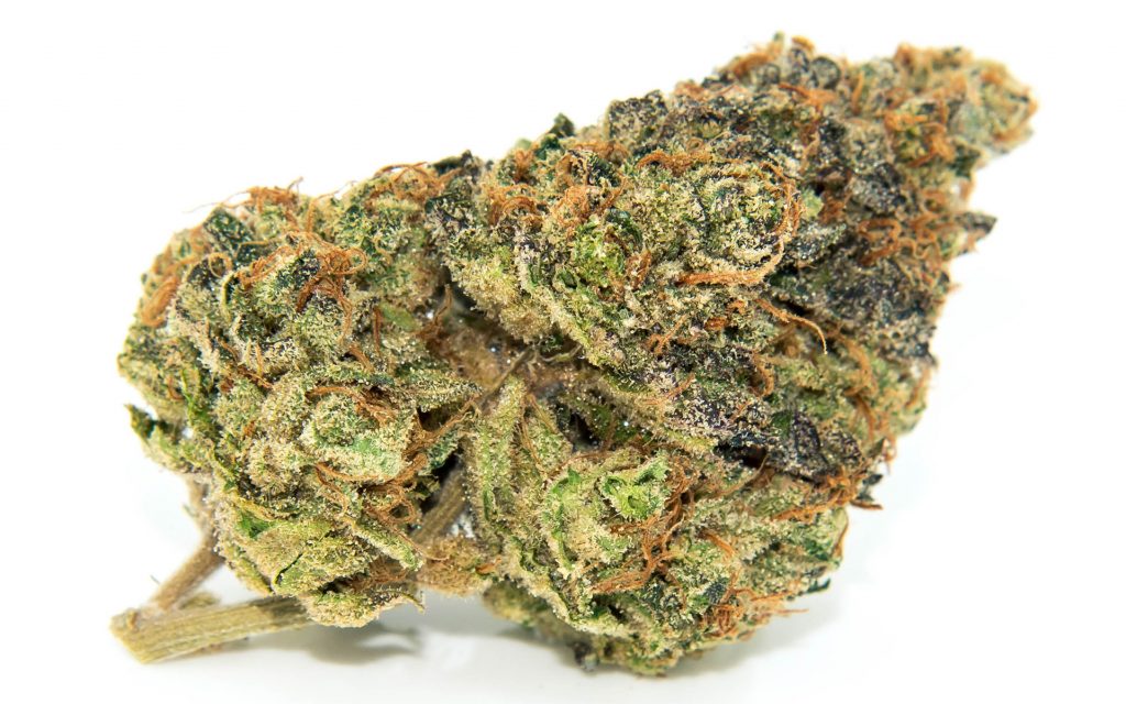 Craft cannabis strain terpenes: Gelato #33, Nerolidol