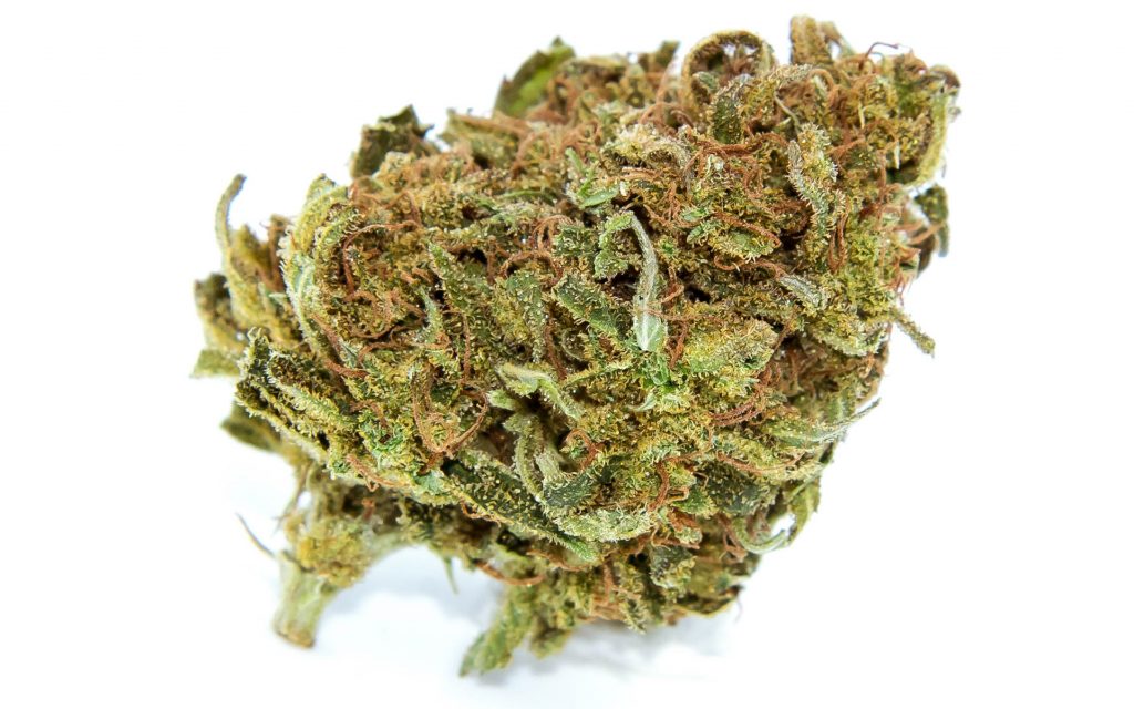 Craft cannabis strain terpenes: Dutch Treat, Terpinolene