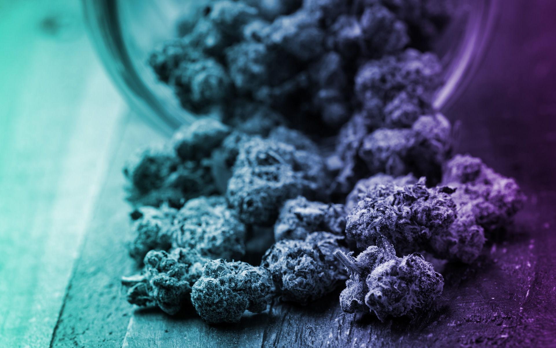 Oregon's Craft Cannabis Strains, by the Terpene