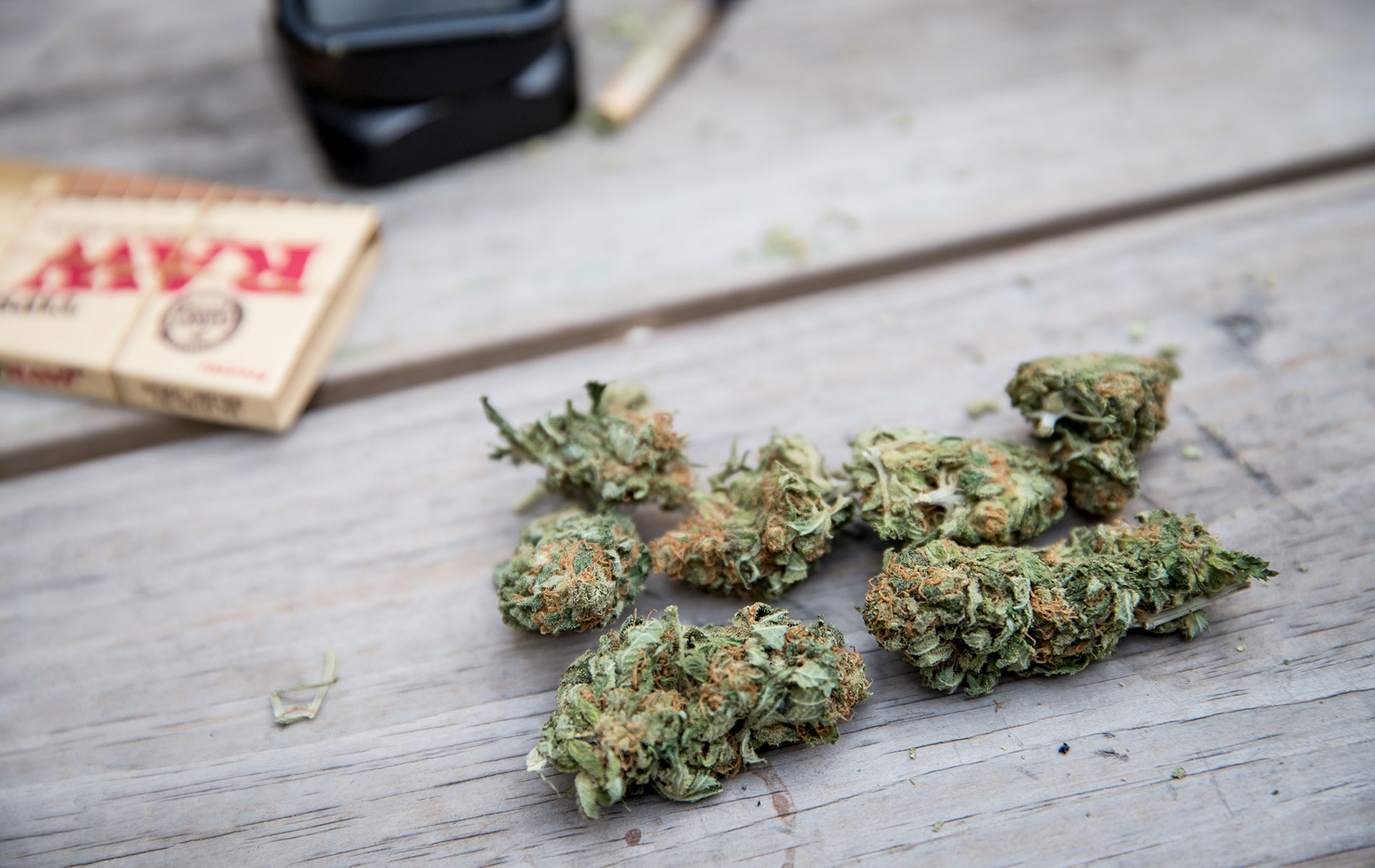 bud