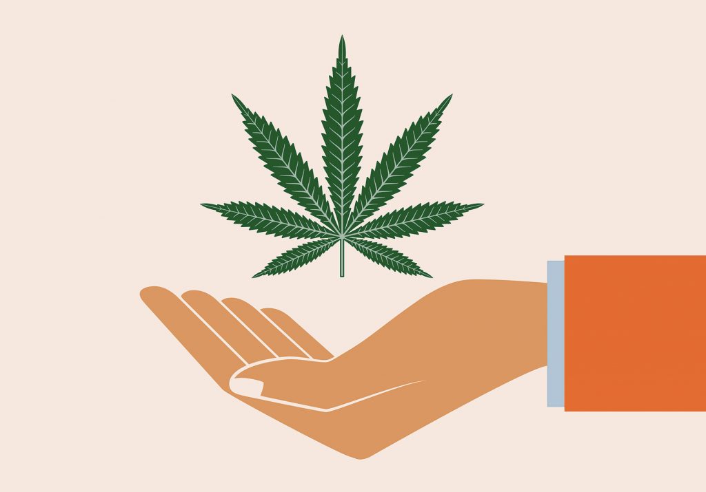 cannabis leaf