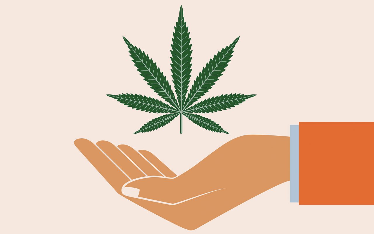 cannabis leaf