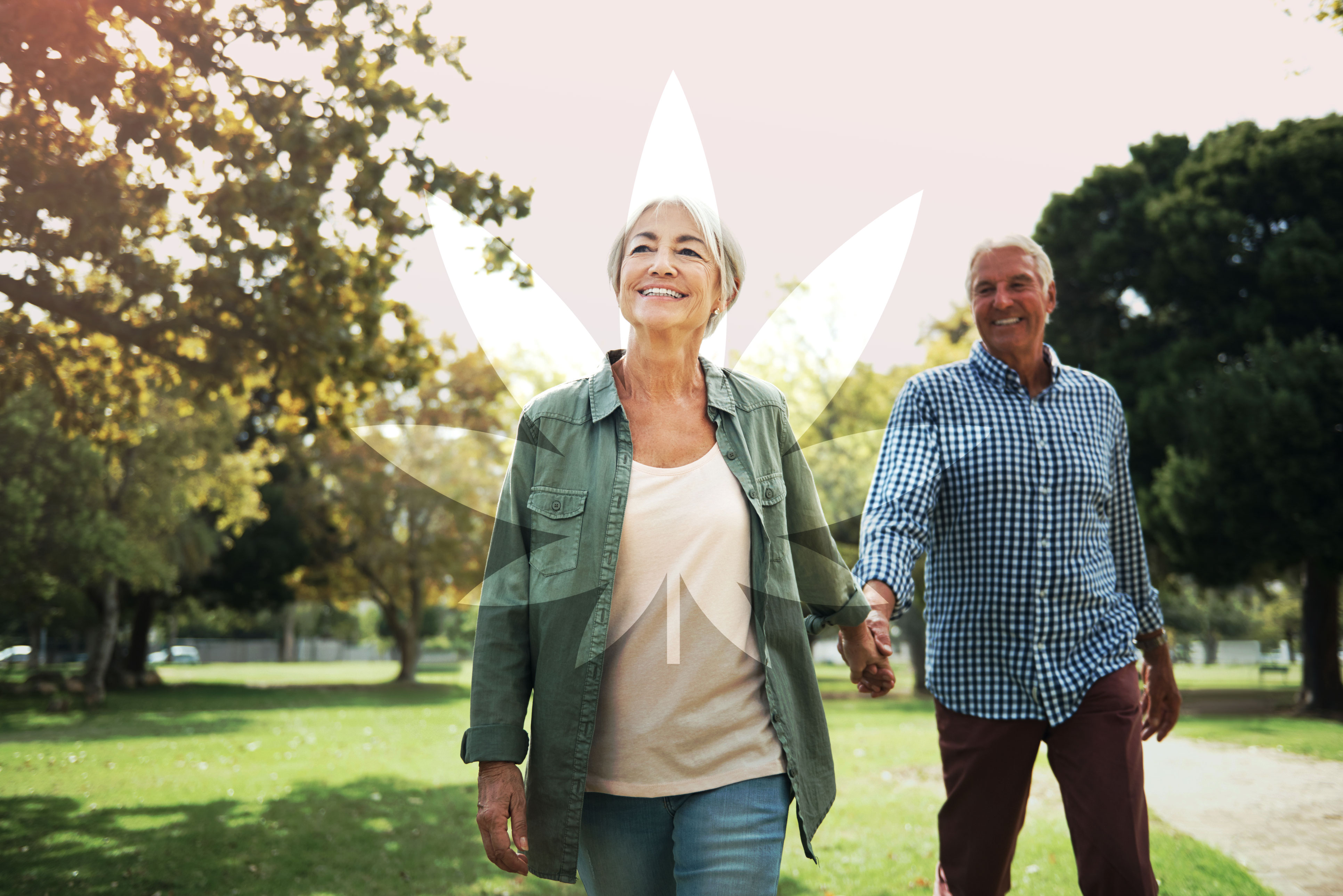 seniors boomers coming back to canada