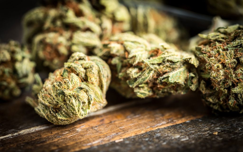 Cannabis Stores