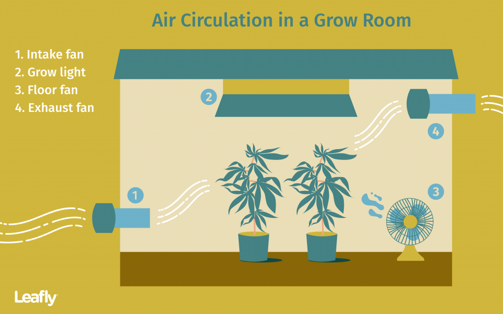 Improving Air Circulation in Your Cannabis Grow Room