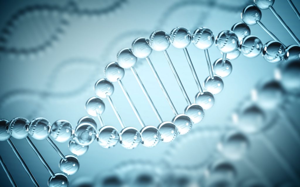 Cannabis Genome