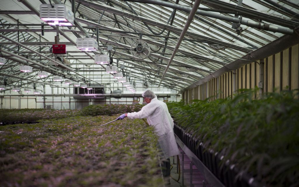 aphria Short-Sellers