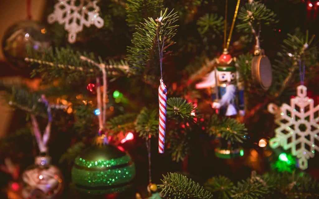christmas tree holiday