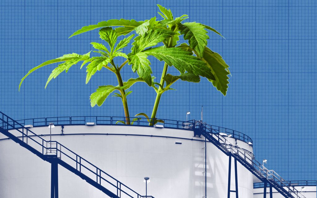 Crude to Cannabis alberta Economy