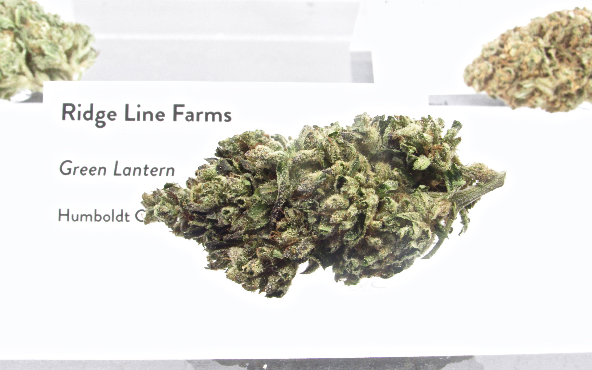 First place licensed sungrown flower winner Ridge Line Farms’ Green Lantern is coming soon to retailers. (David Downs/Leafly)