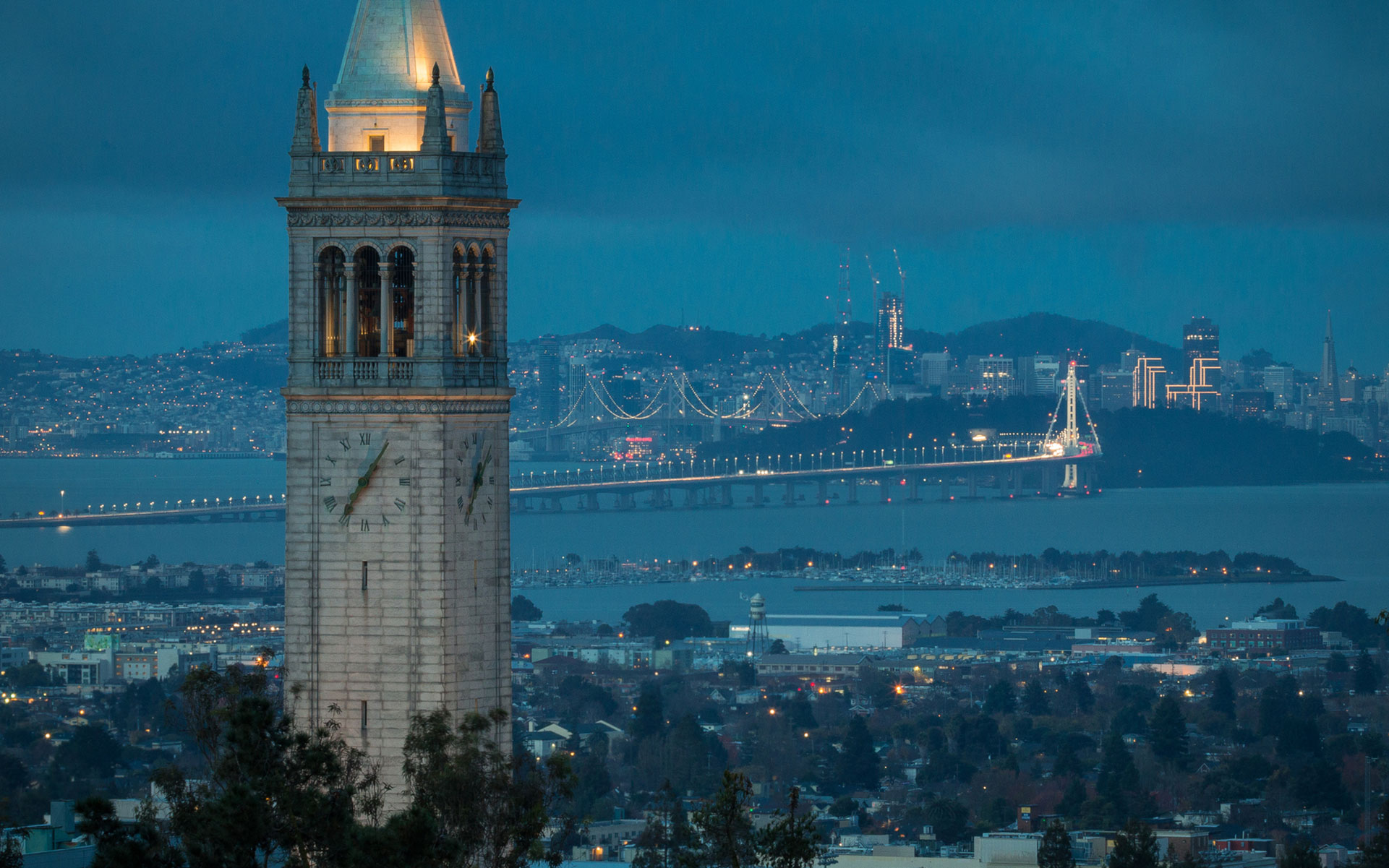 Number one-ranked public university, Cal, enhances the credibility of cannabis studies worldwide. (SchofieldImages/iStock)