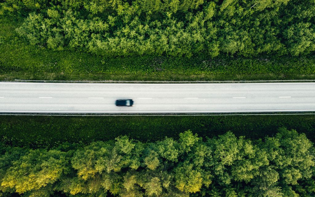 same-day cannabis delivery