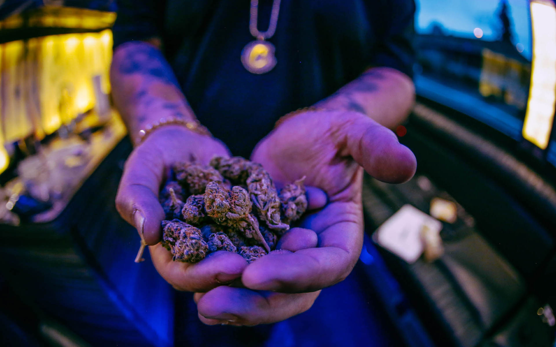 New strain alert: Cereal Milk! A cross of Snowman with The Y. (Courtesy of Berner, #ShotbyFarid)